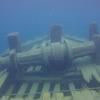 Picture taken during the dive
