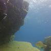 Picture taken during the dive