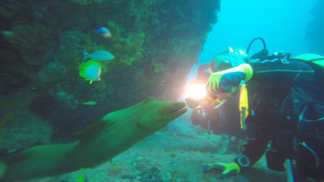 Shark's Friends - Dive Center in Cuba