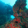 Picture taken during the dive