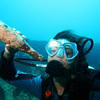 Picture taken during the dive