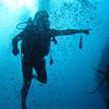 Picture taken during the dive