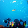 Picture taken during the dive