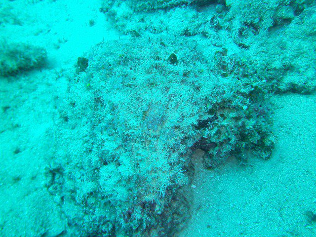 Sea Lancers Diving Club - Dive Center in United States