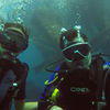Picture taken during the dive
