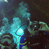 Picture taken during the dive