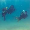 Picture taken during the dive