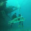 Picture taken during the dive