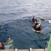Picture taken during the dive