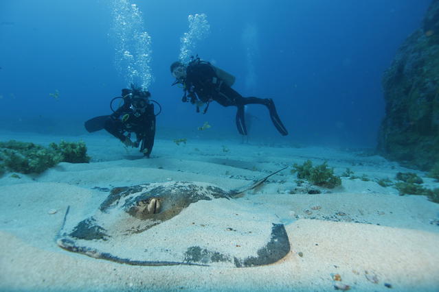 Aguas Claras - Dive Center