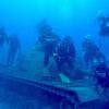 Picture taken during the dive