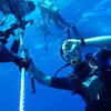 Picture taken during the dive
