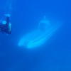Picture taken during the dive