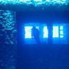 Picture taken during the dive