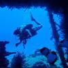 Picture taken during the dive