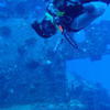 Picture taken during the dive