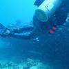 Picture taken during the dive