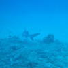 Picture taken during the dive