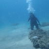 Picture taken during the dive
