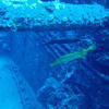 Picture taken during the dive