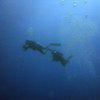 Picture taken during the dive