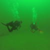 Picture taken during the dive