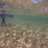 Picture taken during the dive