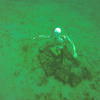 Picture taken during the dive