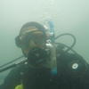 Picture taken during the dive