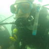 Picture taken during the dive