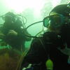 Picture taken during the dive