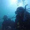 Picture taken during the dive