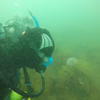 Picture taken during the dive