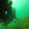 Picture taken during the dive