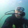 Picture taken during the dive