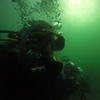 Picture taken during the dive