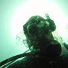 Picture taken during the dive