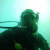 Picture taken during the dive