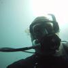 Picture taken during the dive