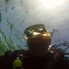 Picture taken during the dive