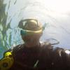 Picture taken during the dive