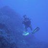 Picture taken during the dive