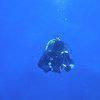 Picture taken during the dive