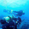 Picture taken during the dive