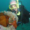 Picture taken during the dive