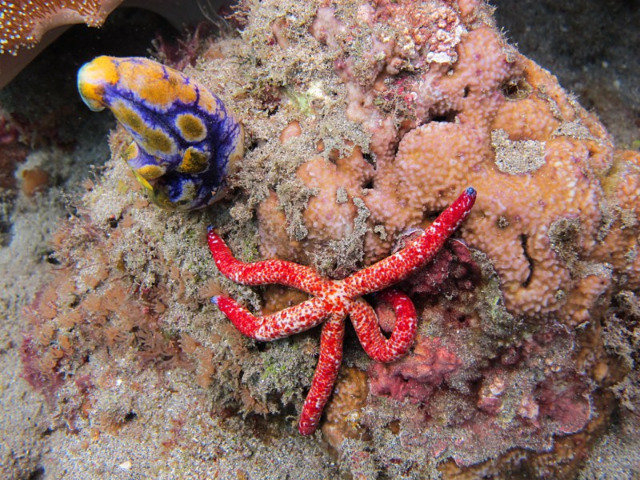 #