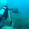 Picture taken during the dive