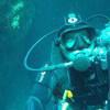 Picture taken during the dive