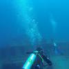 Picture taken during the dive