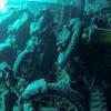 Picture taken during the dive
